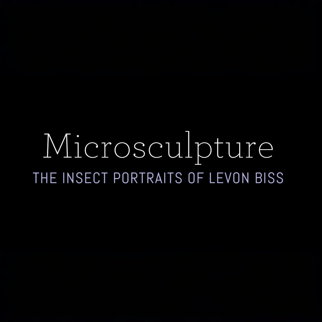 Microsculpture
